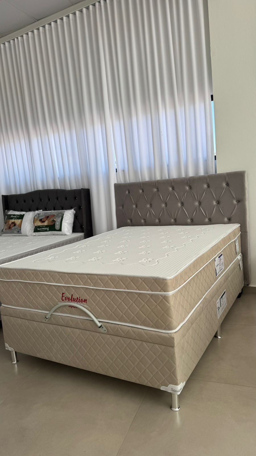 Cama Box Evolution